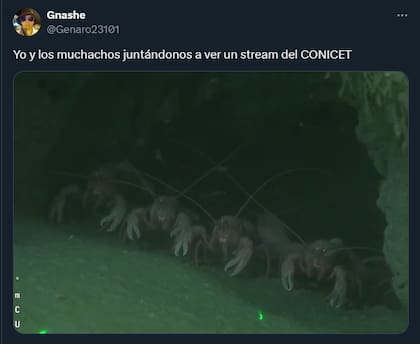 El humor de los usuarios en redes