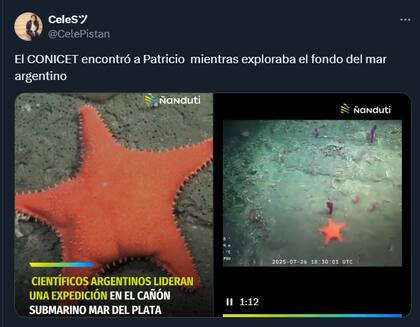 El humor de los usuarios en redes