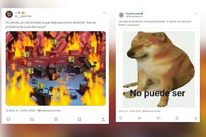 El humor no faltó con llegada de enero 2024 (Captura X)