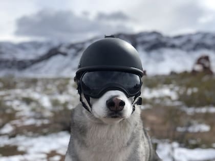 El Husky recorrió más de 90 mil kilómetros en motocicleta. En la foto con sus gafas Rex Specs.