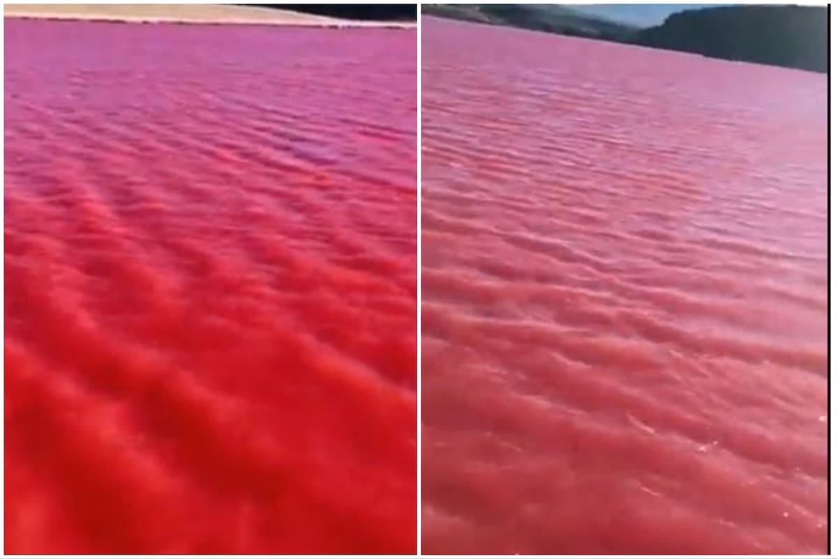 El impactante cambio del río Nilo que sorprendió a los habitantes del continente africano y a los especialistas