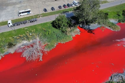 El impactante color del Arroyo Sarandí, en Avellaneda