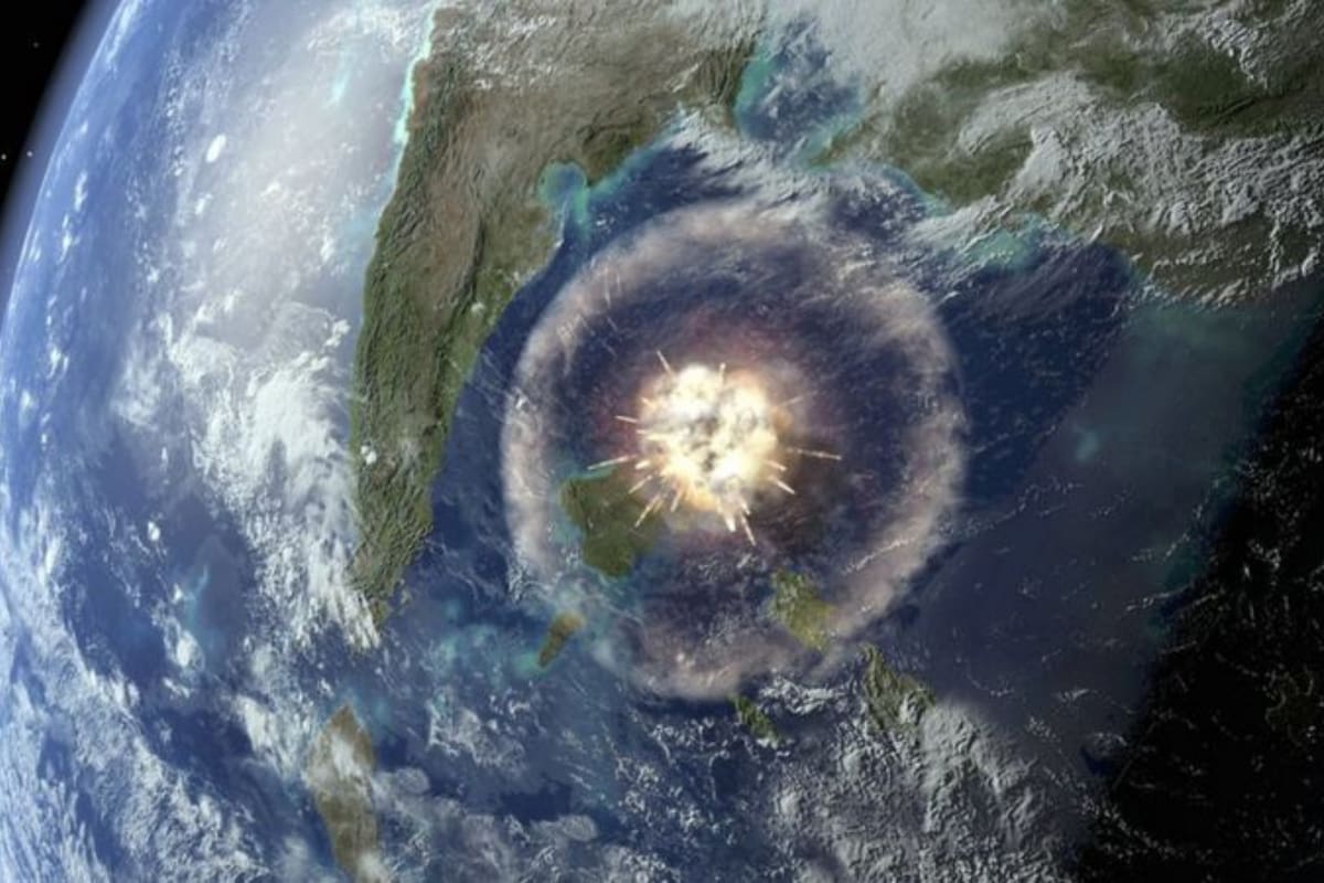 El impacto del asteroide no solo llevó a la extinción de los dinosaurios, sino que cambió por completo el modo en que se forman los bosques tropicales