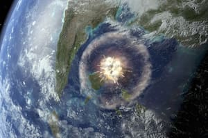 El impacto del asteroide no solo llevó a la extinción de los dinosaurios, sino que cambió por completo el modo en que se forman los bosques tropicales