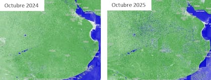 El impacto el agua versus el año pasado