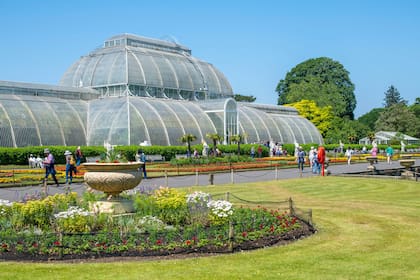 El imponente invernáculo victoriano de las palmeras en Kew