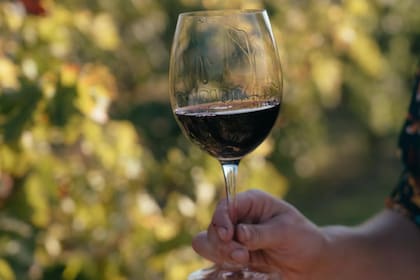El importador rechazó las 600 botellas de vino