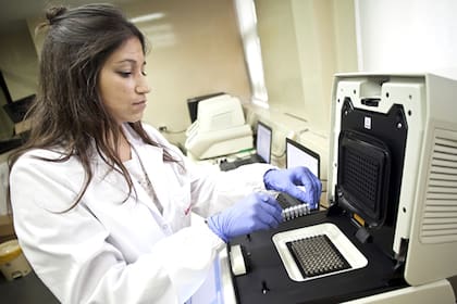 El Inase es un organismo clave en el registro de variedades de semillas y fiscalización