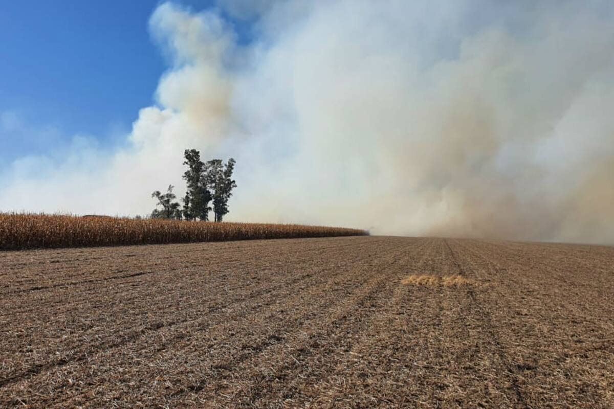 El incendio afectó unas 30 hectáreas de maíz y 5 de trigo