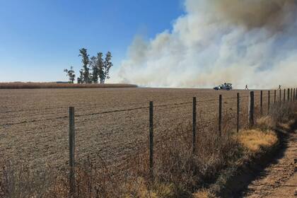 El incendió afectó unas 30 hectáreas de maíz y 5 de trigo recién sembrado