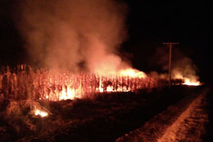 El incendio ayer en el campo en Canals