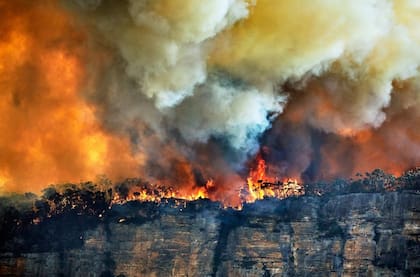 El incendio de Hermit's Peak/Calf Canyon, en Nuevo México