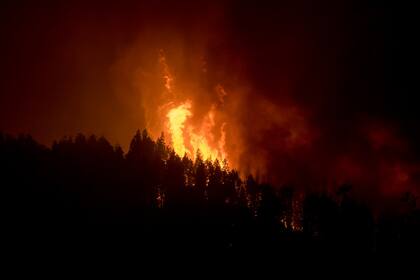 El incendio de los lagos Martin y Steffen avanzó ayer por la noche por el Cañadón de la Mosca y llego a la ruta 40.