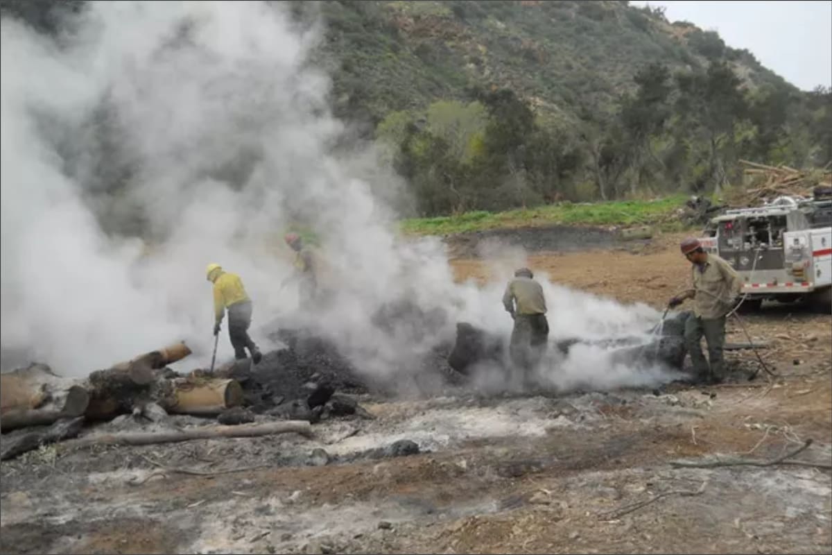 El incendio de Santa Rosa fue provocado accidentalmente por un marinero de 67 años y ya se convirtió en el más grande del año