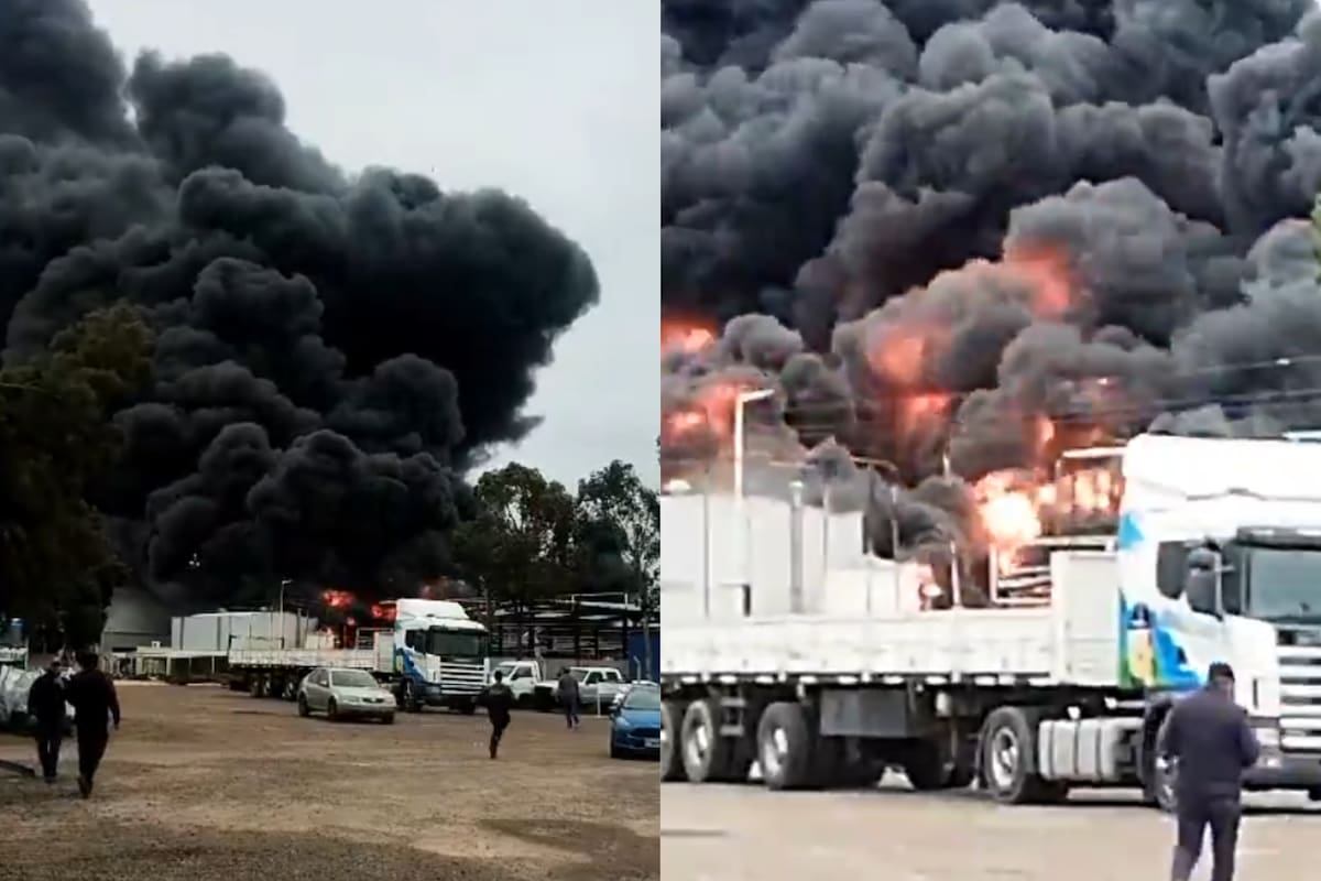 El incendio en Gualeguaychú.