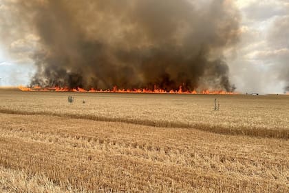 El incendio en el campo