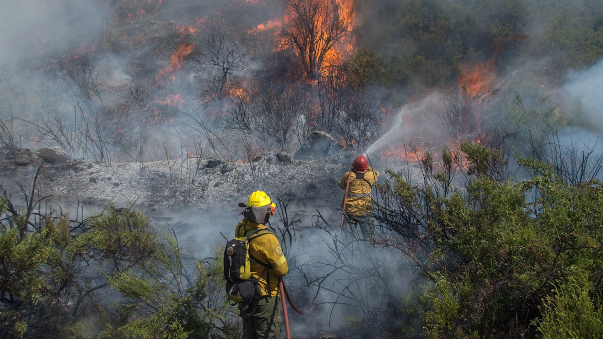 El incendio en El Maiten esta llegando a la Ruta 40 Sur a kilometros de la ciudad de Bolson. FOTO FORMATO VERTICAL