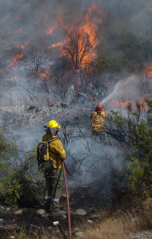 El incendio en El Maiten esta llegando a la Ruta 40 Sur a kilometros de la ciudad de Bolson. FOTO FORMATO VERTICAL