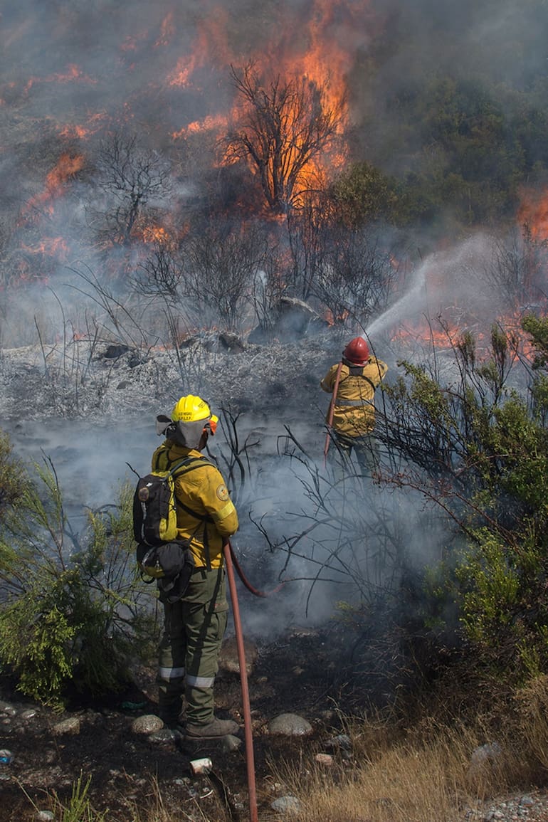 El incendio en El Maiten esta llegando a la Ruta 40 Sur a kilometros de la ciudad de Bolson. FOTO FORMATO VERTICAL