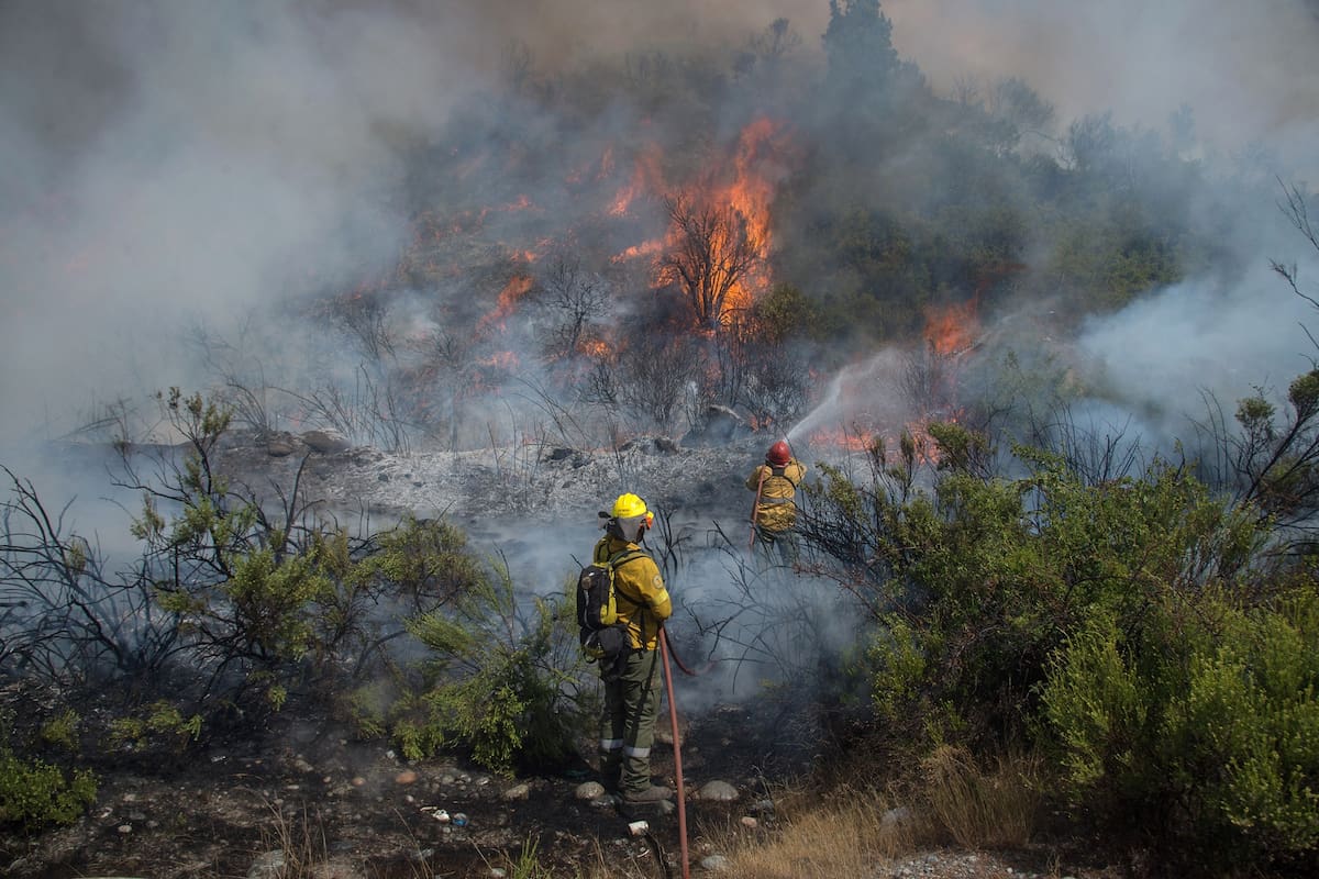 El incendio en El Maiten esta llegando a la Ruta 40 Sur a kilometros de la ciudad de Bolson.
