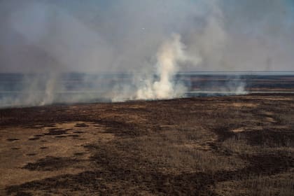 Los incendios se dan en un contexto particular, la escases de lluvias y la bajante más aguda de los últimos 60 años del río Paraná