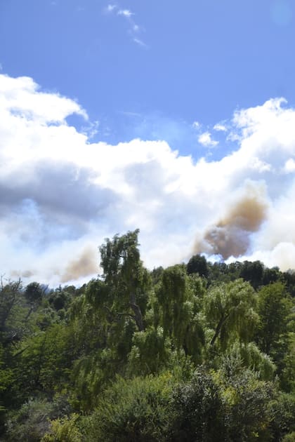 El incendio en el Parque Nacional Los Alerces empezó el jueves 25 de enero