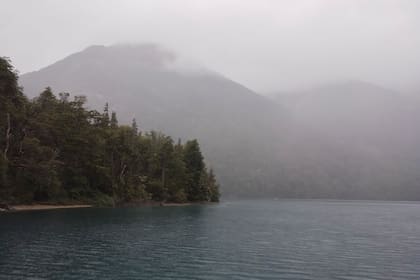 El incendio en el Parque Nacional Los Alerces se mantiene activo desde diciembre pasado