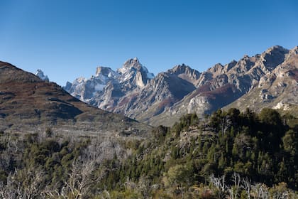 El incendio en esos bosques ocurrió hace diez años y fue uno de los peores incendios forestales de la historia argentina