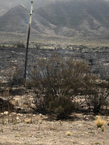 El incendio en la localidad montañosa de Potrerillos fue controlado y quedó en "guardia de cenizas". Más de 70 viviendas fueron alcanzadas por las llamas.