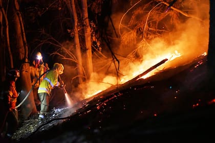 El incendio en Los Alerces comenzó a principios de diciembre pasado