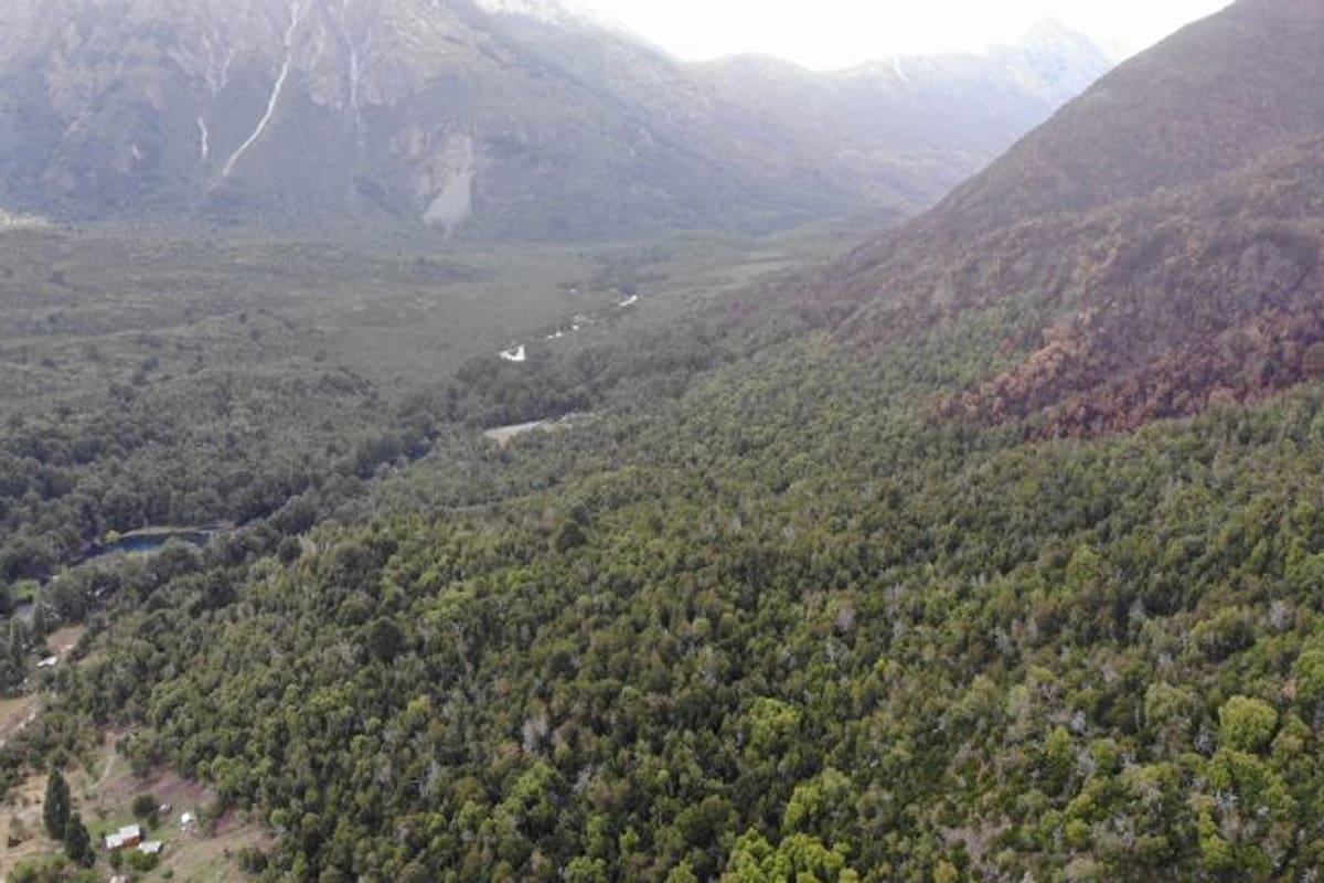 El incendio en Valle Magdalena, en el Parque Nacional Lanín, logró ser contenido