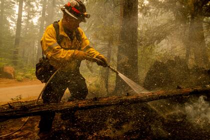 El incendio forestal al este de of Riverton, California el 19 de agosto de 2021 (AP foto/Ethan Swope)