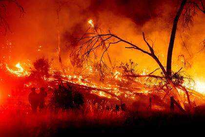 El incendio forestal en Rich Gulch, en el condado Calaveras, California, el 4 de julio del 2022.  (Foto AP/Noah Berger)