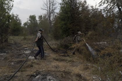 El incendio forestal que el 21 de enero sobrepasó los límites del Parque Nacional Los Alerces hacia jurisdicción provincial fue declarado contenido por la Secretaría de Bosques chubutense