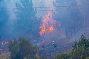 El incendios en El Hoyo ya consumió unas ocho hectáreas del bosque, en Bariloche