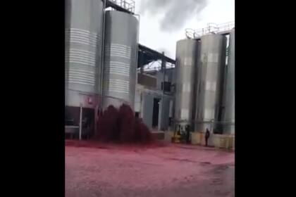 El incidente, ocurrido en Bodegas Vitivinos, quedó registrado en un video que se viralizó rápidamente