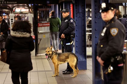 El incidente ocurrió en la línea 4 del Metro de Nueva York