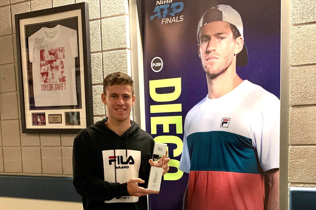 el increíble año de schwartzman