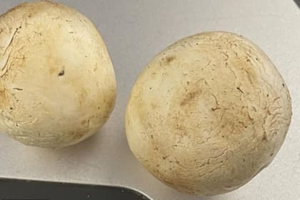 El increíble antes y después de unos hongos que tomaron un vuelo de larga distancia