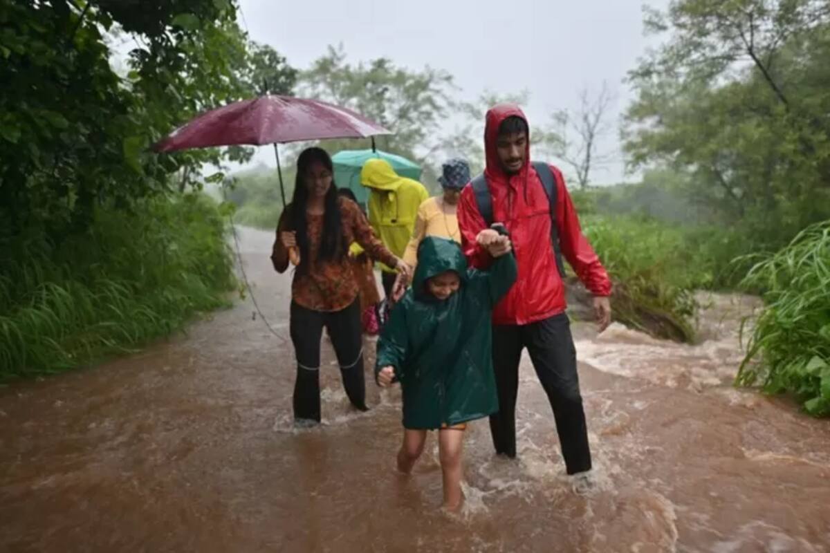 El incremento de lluvias ha hecho que haya más mosquitos y, por ende, enfermedades relacionadas con ellos