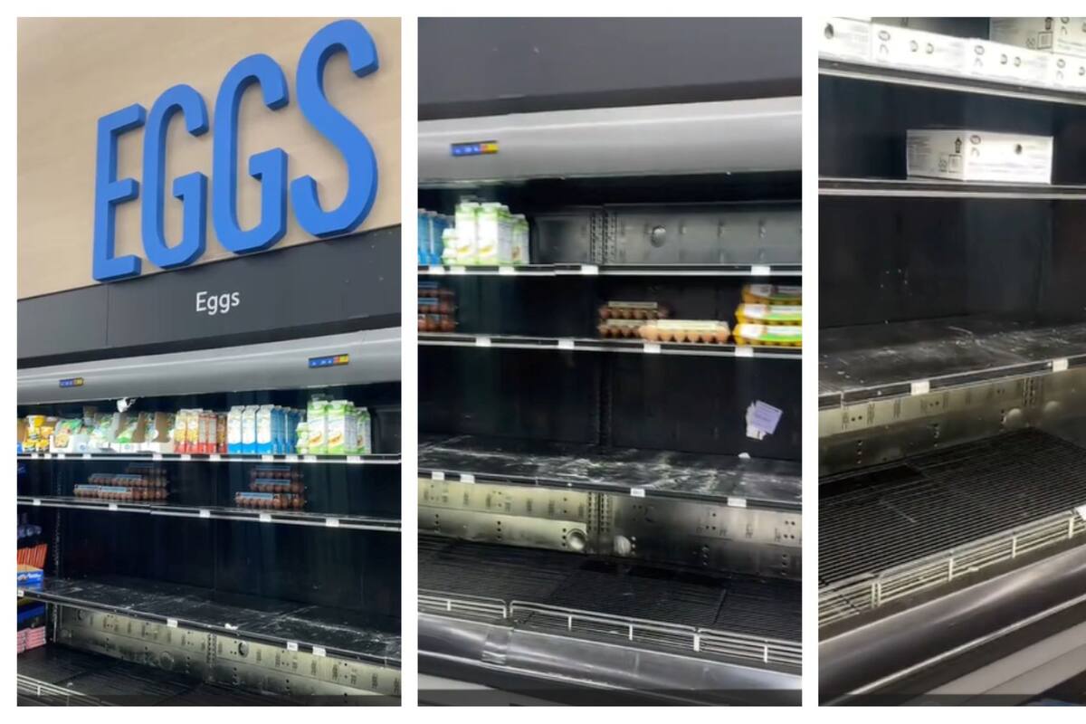 El incremento de precio y la poca oferta generaron críticas y preocupaciones (TikTok/@blissbalm.co)