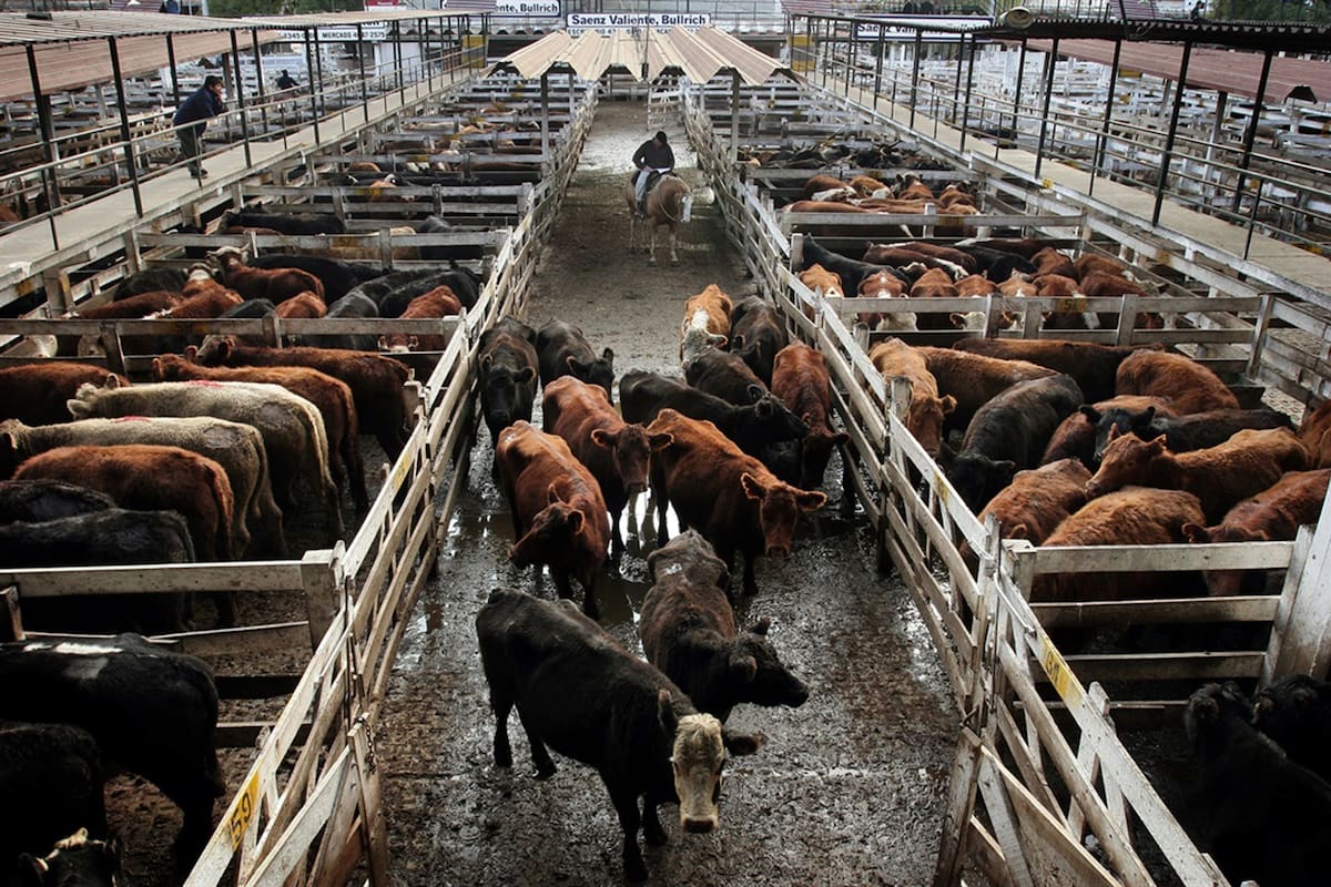 El Índice General bajó un 1,04% respecto del viernes, al pasar de 80,047 a $79,215 pesos por kilo