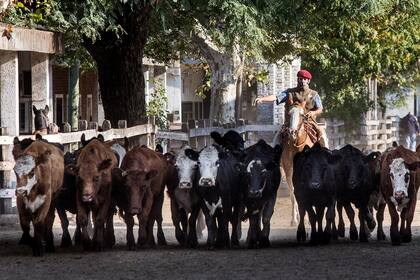 El Índice General subió un 2,39%, al pasar de 138,592 a 141,899 pesos por kilo