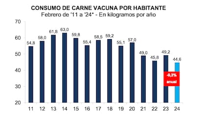 El informe de Ciccra mostró un importante descenso en el consumo