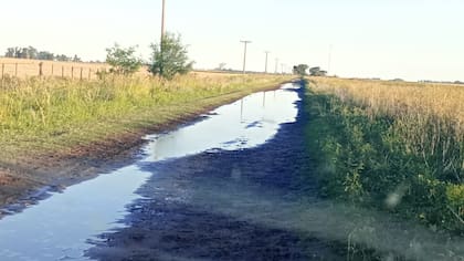 El informe de ingeniería determinó que el 96% de la red vial analizada presenta deficiencias que no cumplen con los estándares
