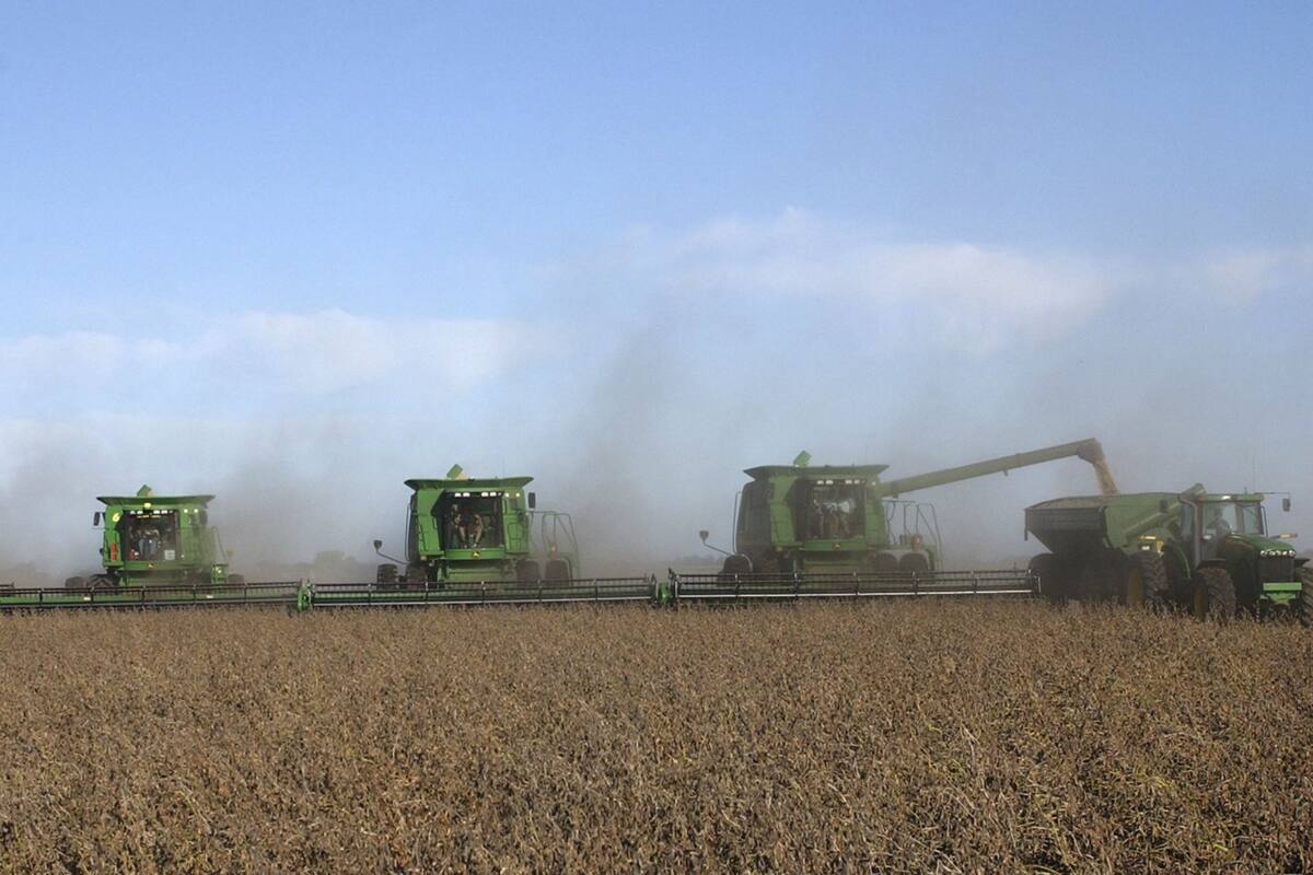 El informe de la economista Inés Asís, de la Universidad Nacional de Córdoba, considera que hay que buscar más políticas que sumen valor a la producción