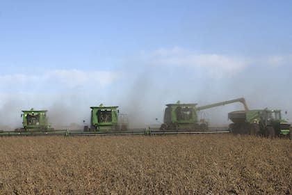 El informe de la economista Inés Asís, de la Universidad Nacional de Córdoba, considera que hay que buscar más políticas que sumen valor a la producción