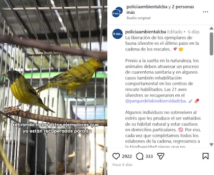 El informe de la Policía Ambiental
