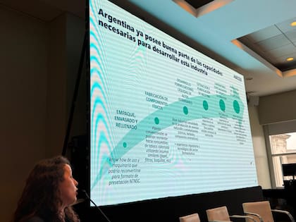 El informe sostiene que la Argentina cuenta con ventajas
