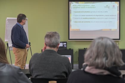 El ingeniero agrónomo Hernán Sainz Rozas, técnico de INTA Balcarce, fue el encargado de contar el estudio realizado en el NOA y NEA